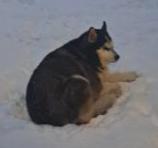 Image_2925393