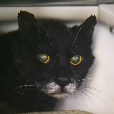 SALEM