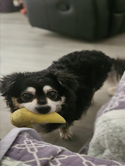 A1367572