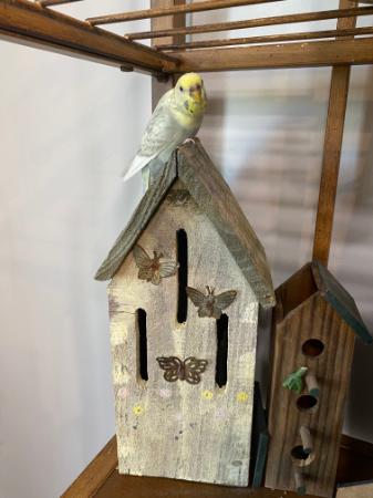 Image_2931732