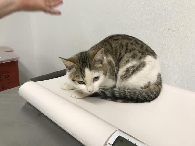 No Name - A746284