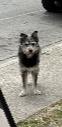 Image_2938237
