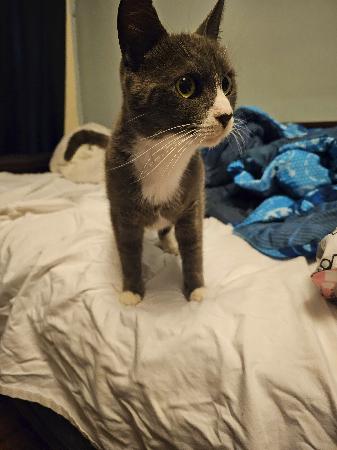 Image_2939068