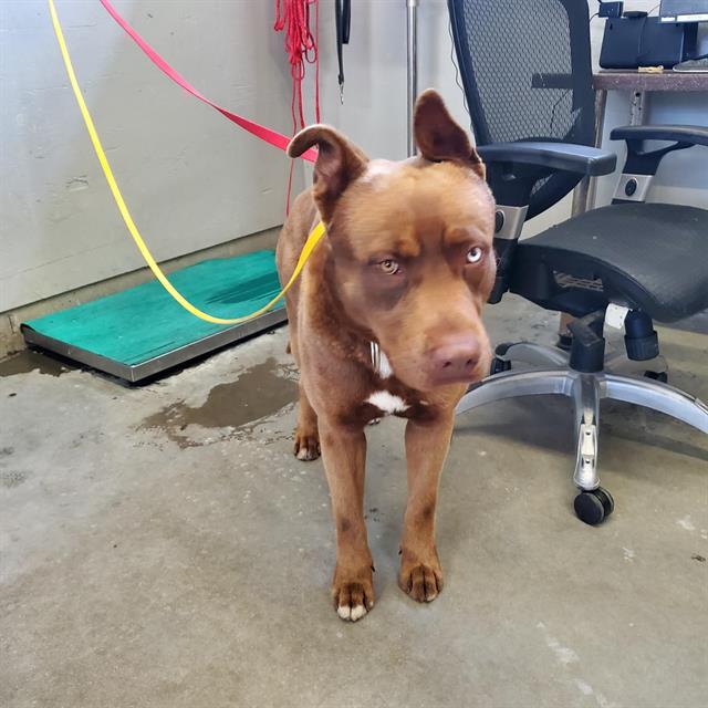 No Name - A865116