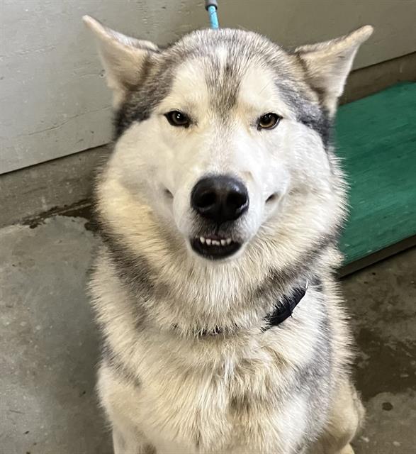 No Name - A865139