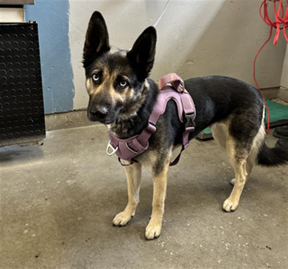 No Name - A865141
