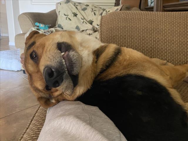 *BUGSY