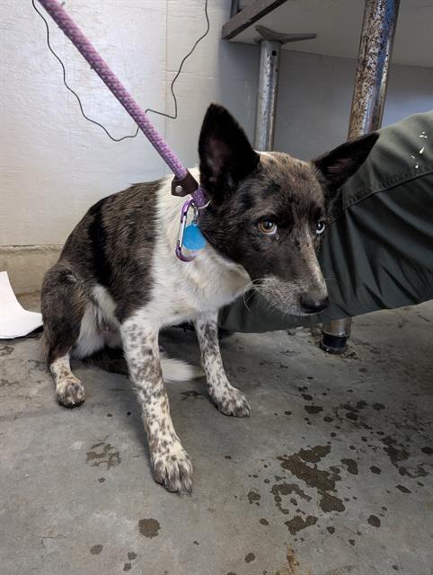 No Name - A865233