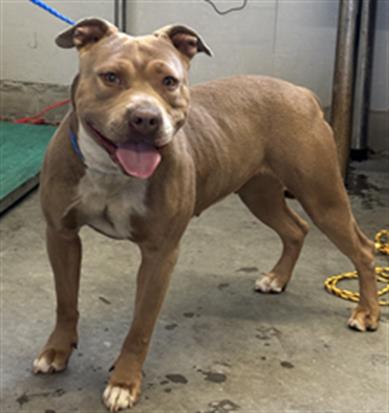 No Name - A865308