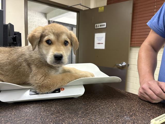 No Name - A865341