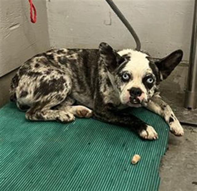 No Name - A865353