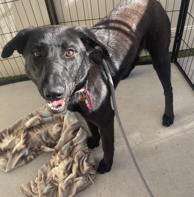 No Name - A865307