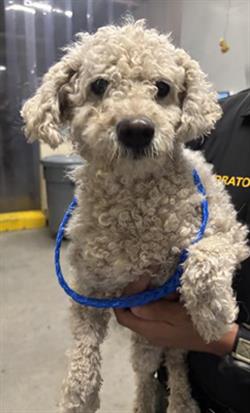 No Name - A865376
