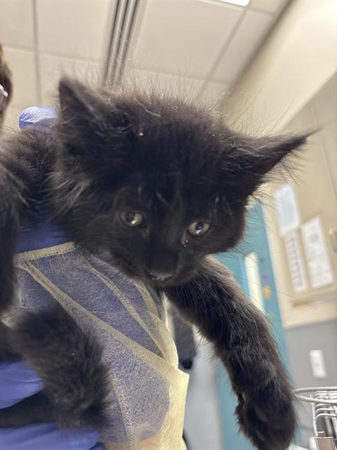 *BINX