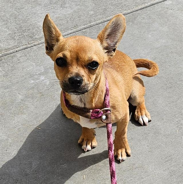 Zoe - A865479