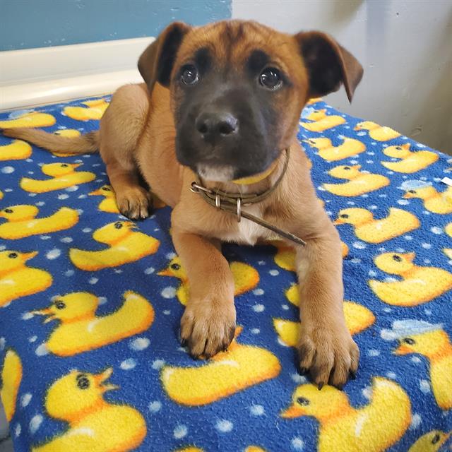 No Name - A865764