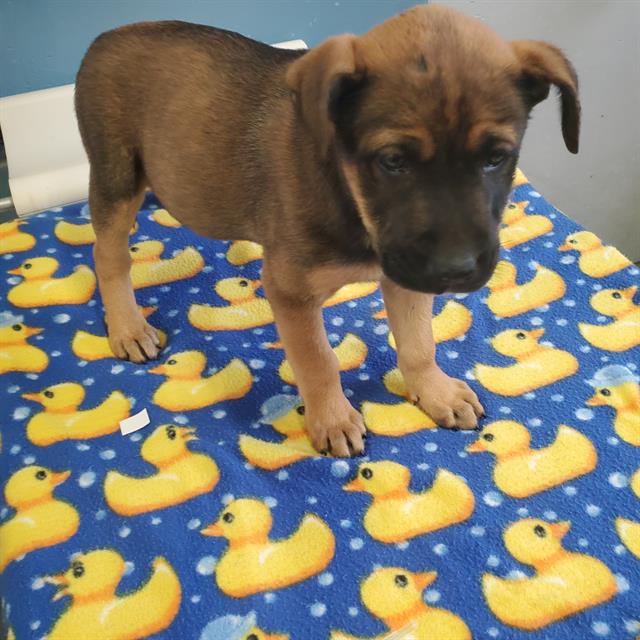 No Name - A865766