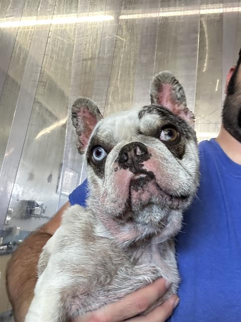 No Name - A865798