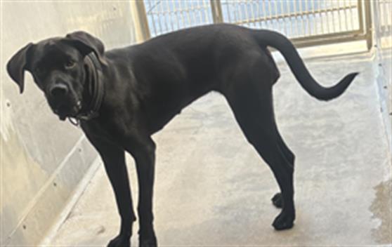 No Name - A865822