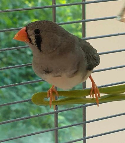 Image_A075463