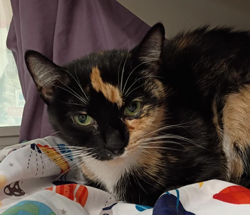 *MITTENS