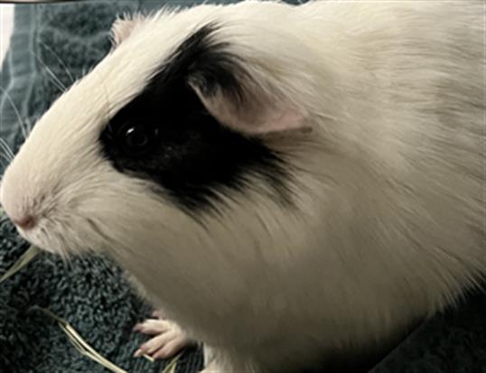 No Name - A867084