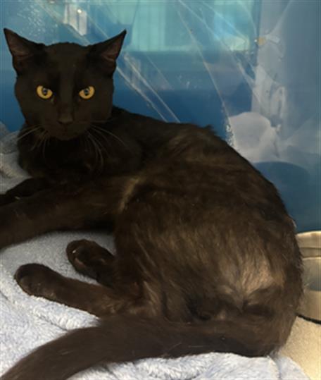 No Name - A867338