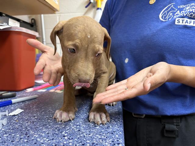 No Name - A867572