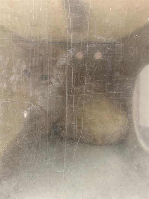 Image_A119344