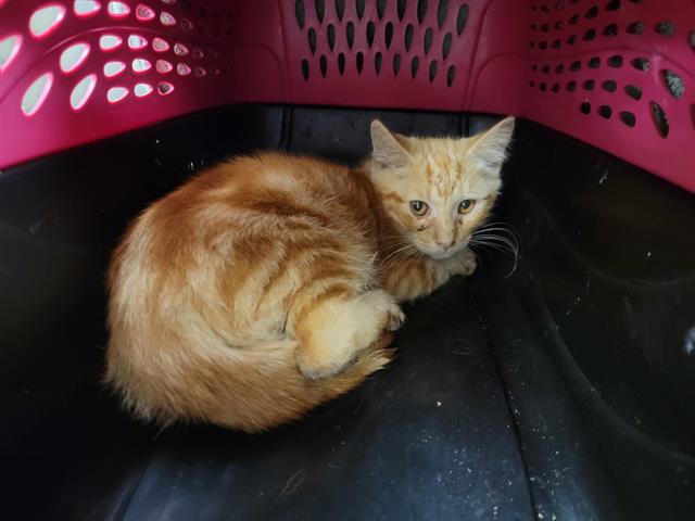 No Name - A868970