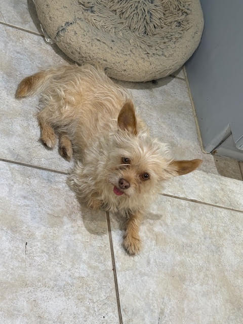 *TEDDY