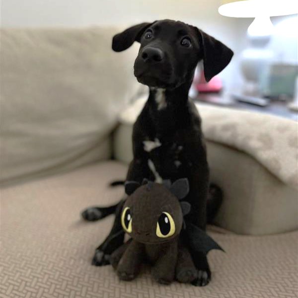 Image_A123104