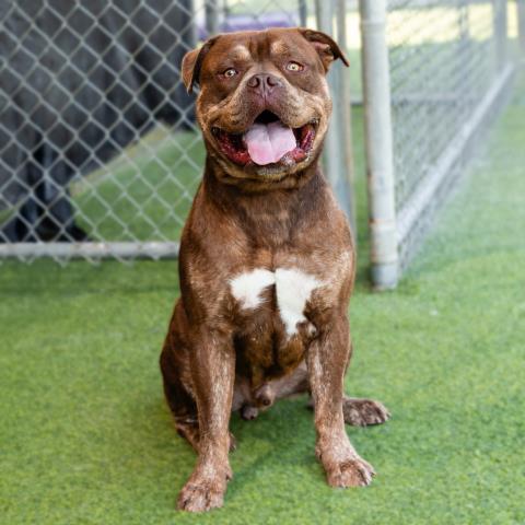 Malcolm - A868853