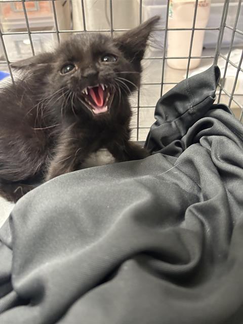 *DERP