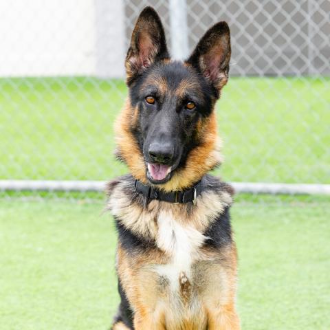 Rudi - A867128