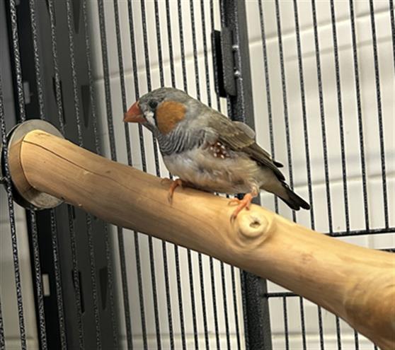 No Name - A870143