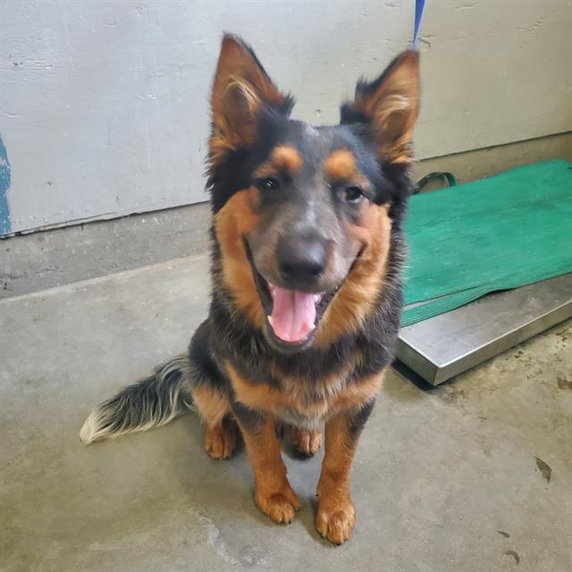 No Name - A870146