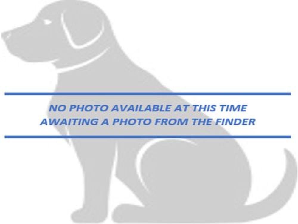 Image_A085890