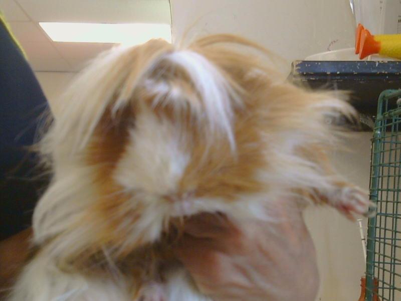 Image_A900073