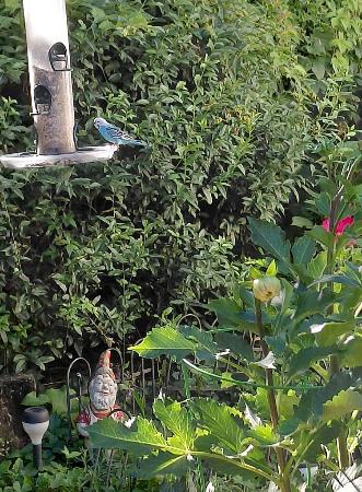 Image_2981166