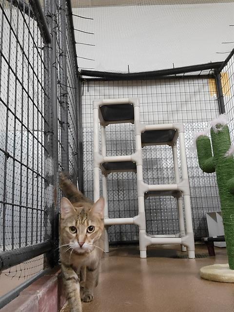 Image_A118944