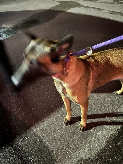 Image_A037690