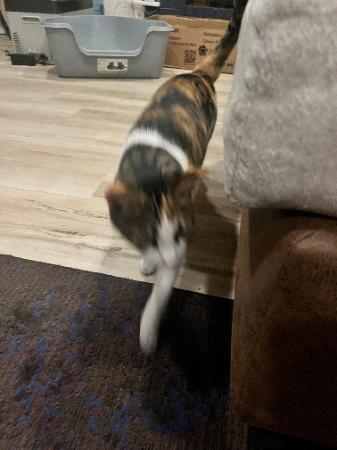 Image_2988465