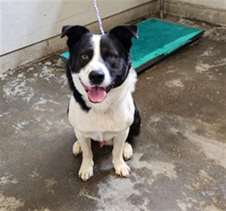 No Name - A871474
