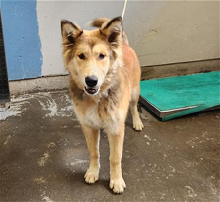 No Name - A871498