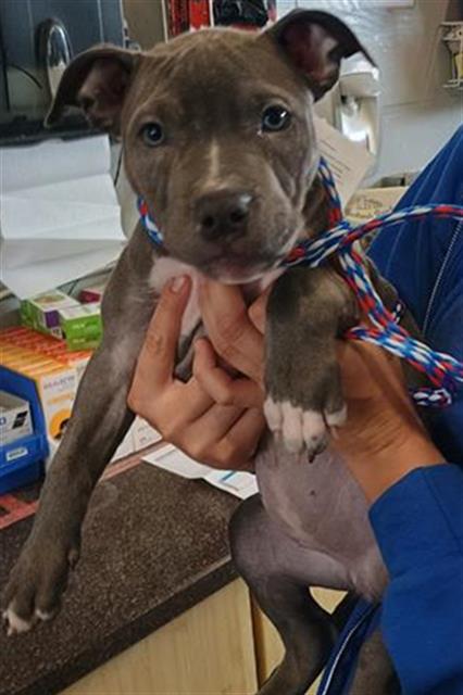 No Name - A871505