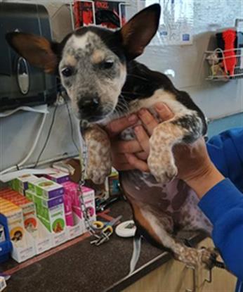 No Name - A871511