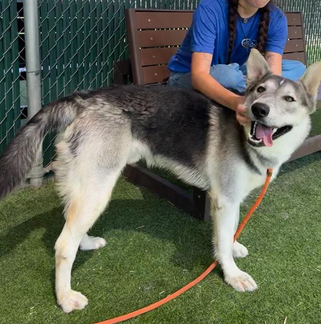 Pepe - A871126