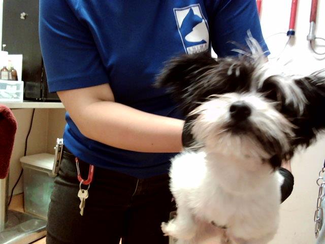 Image_A1038741