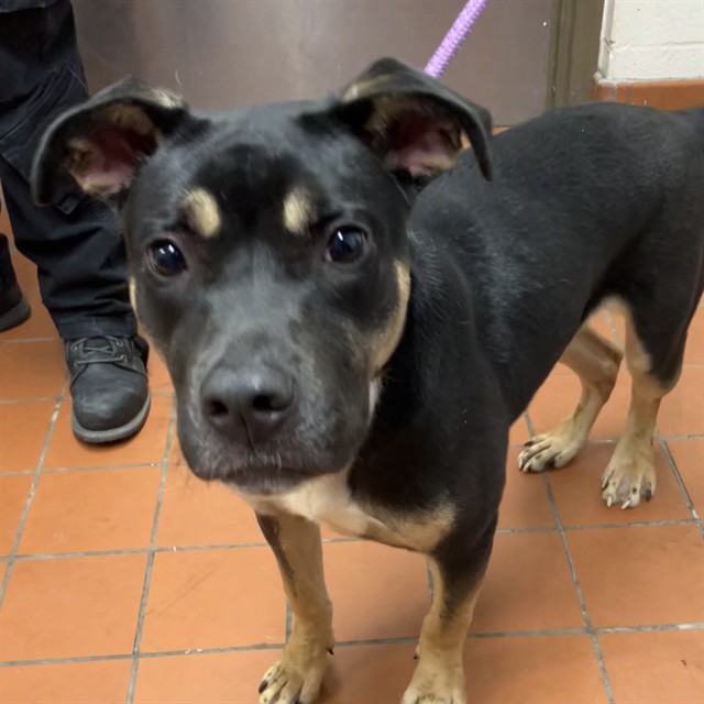 Bethany - A872151